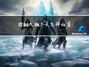 樱桃大棚冬天怎样修剪好
