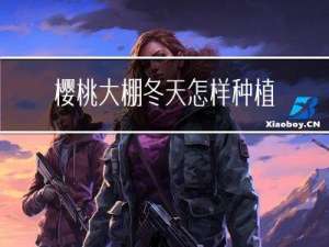 樱桃大棚冬天怎样种植果树