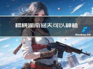 樱桃湖南冬天可以种植吗