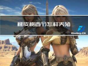 橡皮树春节怎样养殖