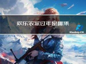 欢乐农家过年是哪集