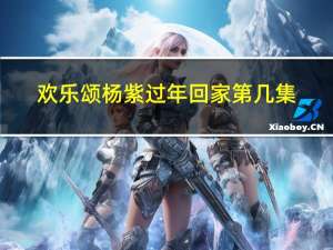 欢乐颂杨紫过年回家第几集