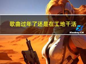 歌曲过年了还是在工地干活
