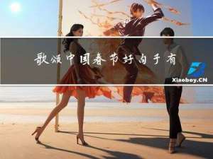 歌颂中国春节好句子有哪些