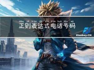 正则表达式 - 电话号码