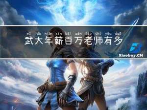 武大年薪百万老师有多少