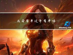 武安客车过年有车吗