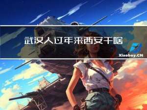 武汉人过年来西安干啥