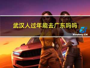 武汉人过年能去广东吗吗