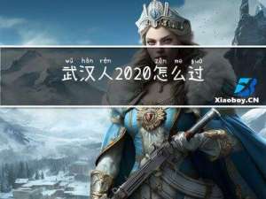 武汉人2020怎么过年