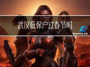 武汉低保户过春节吗