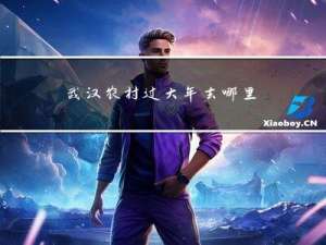 武汉农村过大年去哪里玩