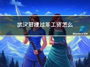 武汉冠捷过年工资怎么算