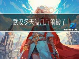武汉冬天盖几斤的被子