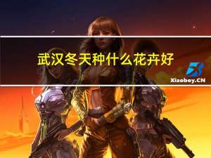 武汉冬天种什么花卉好