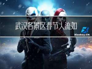 武汉各景区春节人流如何