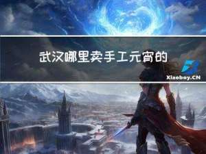 武汉哪里卖手工元宵的