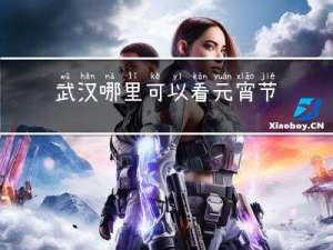 武汉哪里可以看元宵节灯会
