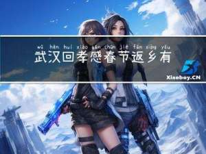 武汉回孝感春节返乡有车吗