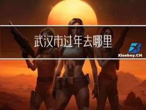 武汉市过年去哪里