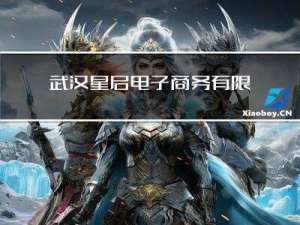 武汉星启电子商务有限公司手把手教拼多多运营
