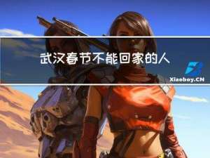 武汉春节不能回家的人是谁