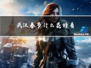 武汉春节什么花好看