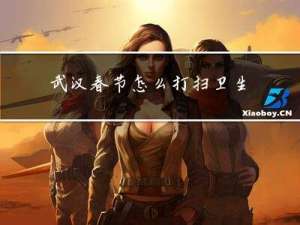 武汉春节怎么打扫卫生