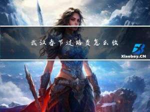 武汉春节过路费怎么收