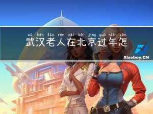 武汉老人在北京过年怎么办