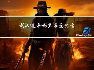 武汉过年哪里有花灯卖