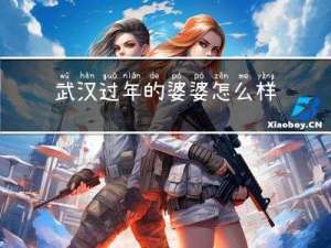 武汉过年的婆婆怎么样
