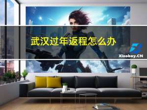 武汉过年返程怎么办