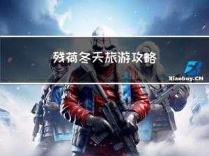 残荷冬天旅游攻略