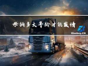 母狗多大年龄才能发情