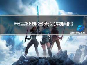 母金丝熊冬天会发情吗