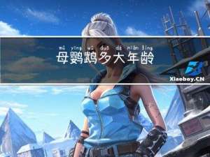 母鹦鹉多大年龄