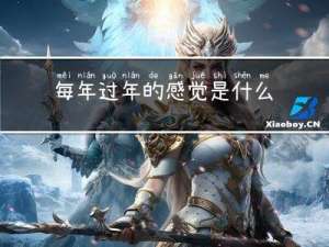 每年过年的感觉是什么