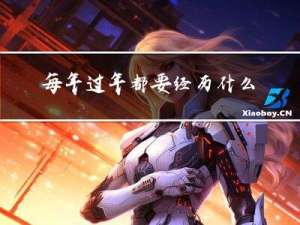 每年过年都要经历什么