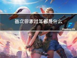 每次回家过年都是什么心情