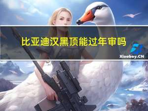 比亚迪汉黑顶能过年审吗