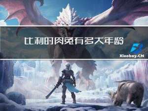 比利时肉兔有多大年龄