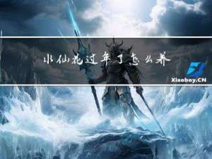 水仙花过年了怎么养