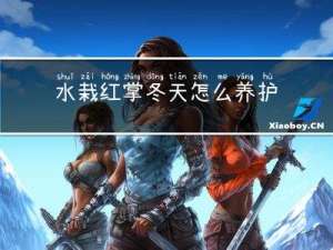 水栽红掌冬天怎么养护