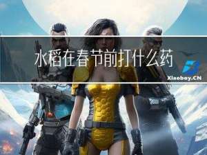 水稻在春节前打什么药