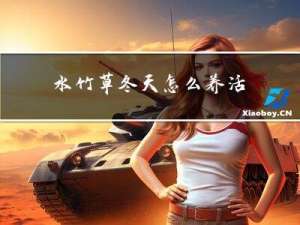 水竹草冬天怎么养活