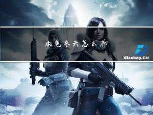 水龟冬天怎么养