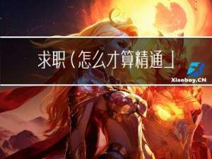 求职（怎么才算精通JAVA开发）