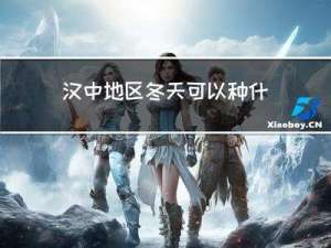 汉中地区冬天可以种什么
