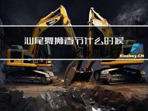 汕尾舞狮春节什么时候开始
